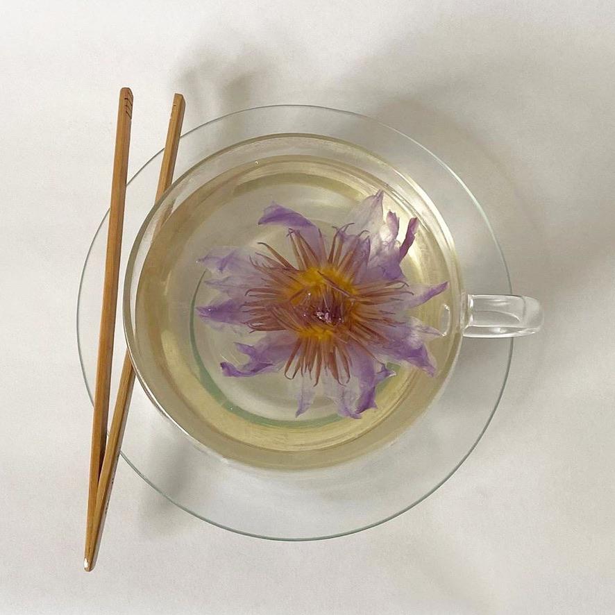 Blue lotus tea steeping in a glass cup — the evening ritual